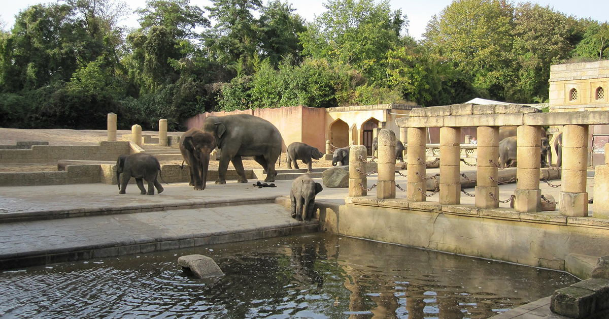 Zoo Hannover Zoo Hannover